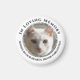 I fotomatkatalog/matta med flytande minne magnet