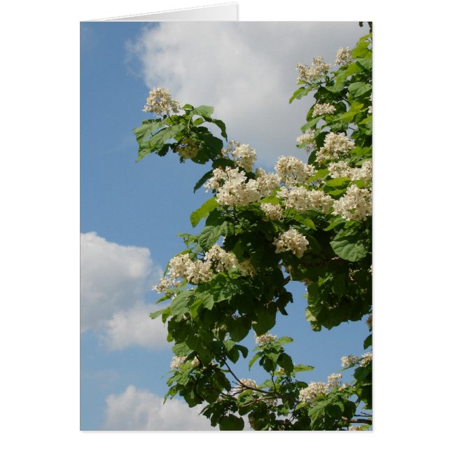 I Fullt Bloom Hälsningskort (Framsidan)