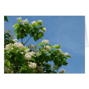 I Fullt Bloom Hälsningskort