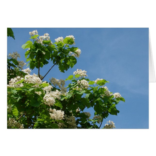 I Fullt Bloom Hälsningskort (Framsidan Horizontal)