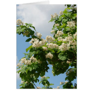 I Fullt Bloom Hälsningskort