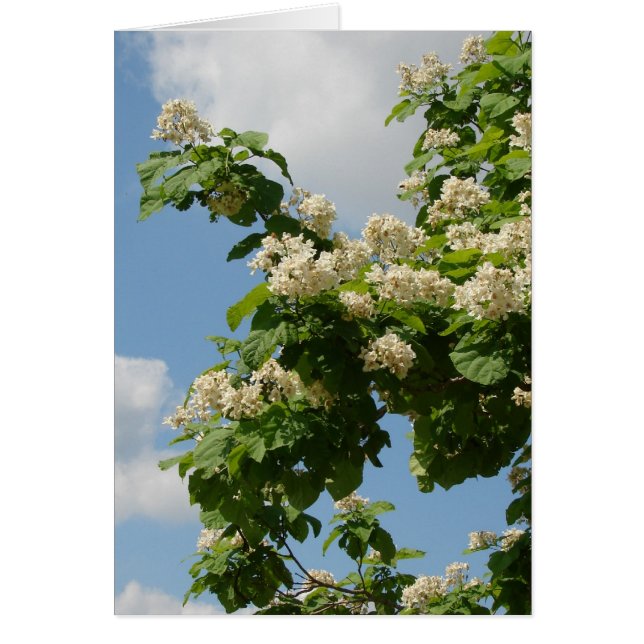 I Fullt Bloom Hälsningskort (Framsidan)