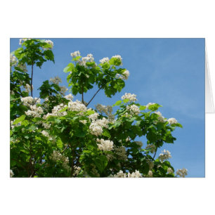 I Fullt Bloom Hälsningskort