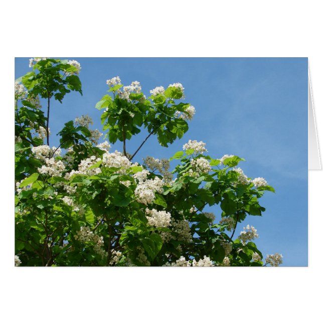 I Fullt Bloom Hälsningskort (Framsidan Horizontal)