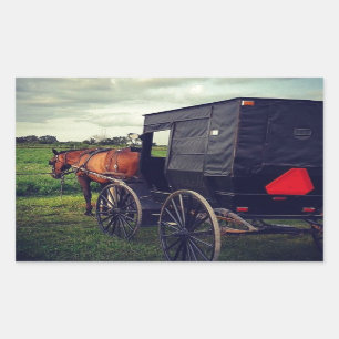 I går kväll i ett Amish-samhälle, Amish Horse Rektangulärt Klistermärke
