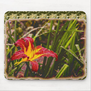 I går Lily After Rain Musmatta