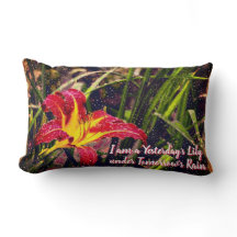 I går Lily i morgon Rain