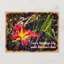 I går Lily i morgon Rain Vykort