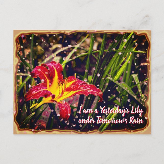 I går Lily i morgon Rain Vykort (Framsida)