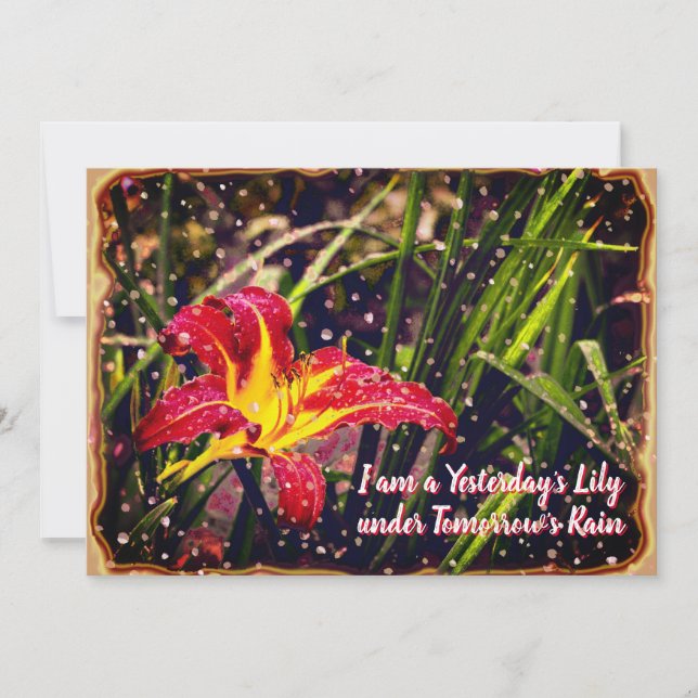 I går Lily i morgon, rain-vykort Julkort (Framsida)