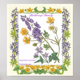 I Garden ~ Buttercupfamiljen Poster