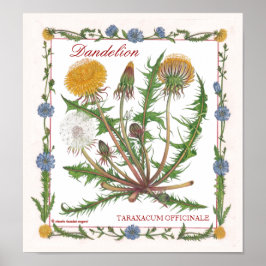 I Garden ~ Dandelion Poster