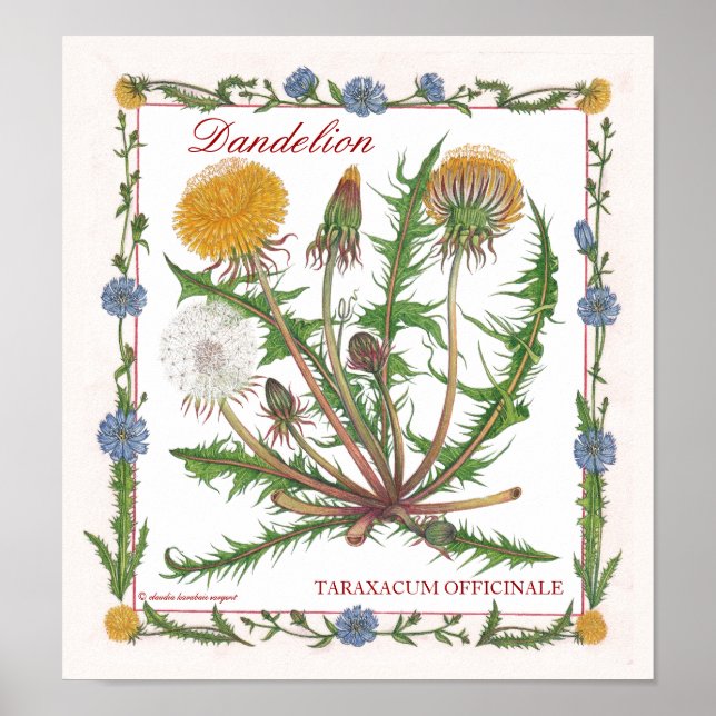 I Garden ~ Dandelion Poster (Framsidan)