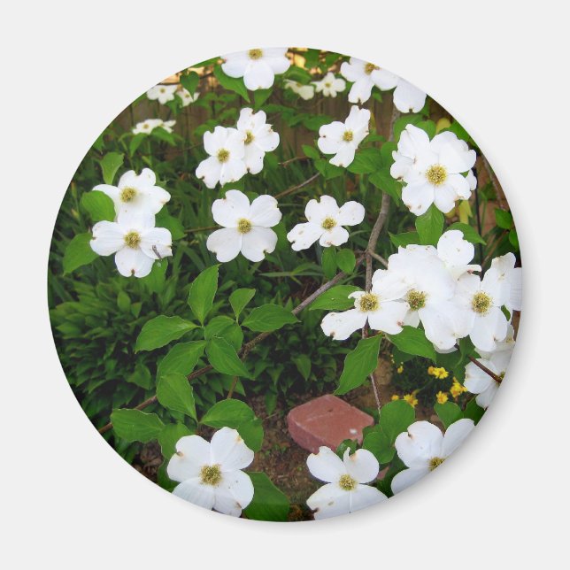 I Garden ~ Dogwood-Blommarna Magnet (Framsidan)