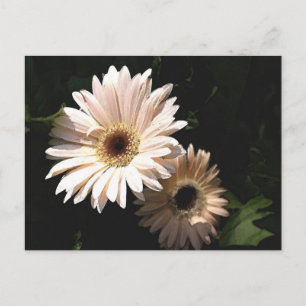 I Garden Postcard Vykort