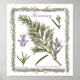 I Garden ~ Rosemary Poster