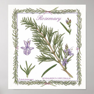 I Garden ~ Rosemary Poster
