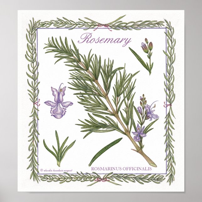 I Garden ~ Rosemary Poster (Framsidan)