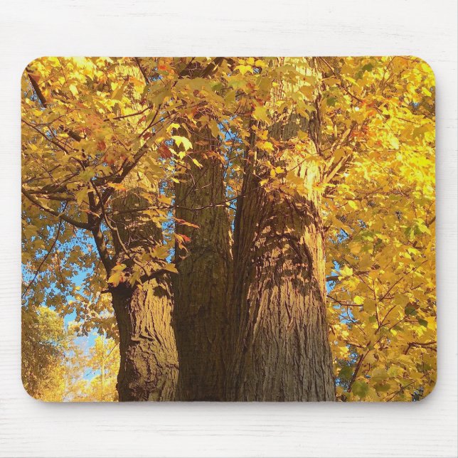 I glöden av Golden Maple-Löv - Musmatta (Framsidan)