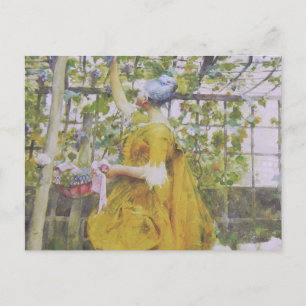 I Grape Arbor Vykort