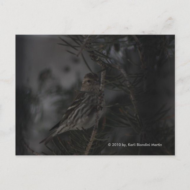 I Gräs Vykort (Framsida)