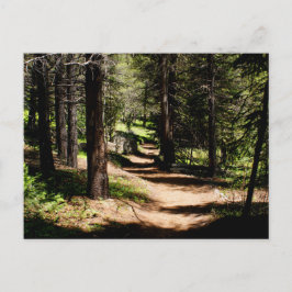 I gräsvykortet - fotvandra nära vinter parkera CO Vykort