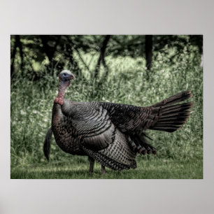 I Grönten Skogen-Sage B&W Poster