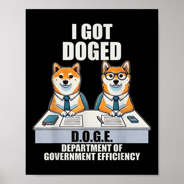 I Har Doged D.o.g.e. Government Department Poster (Framsidan)