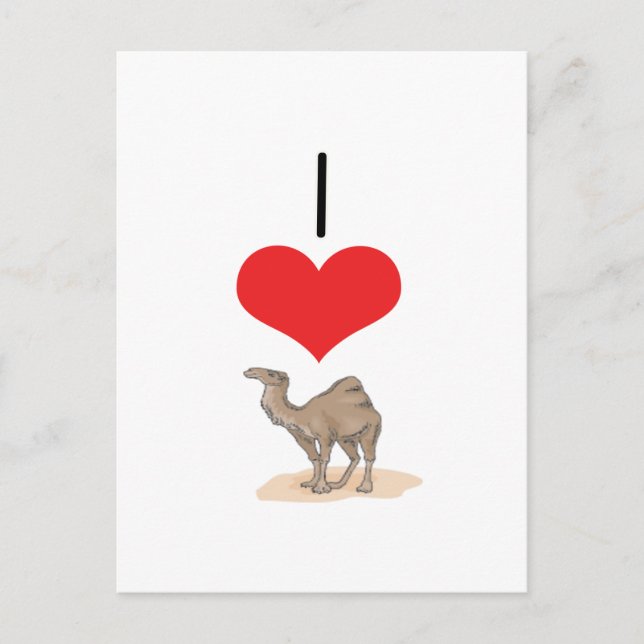 I Heart (Kärlek) Camels Vykort (Framsida)