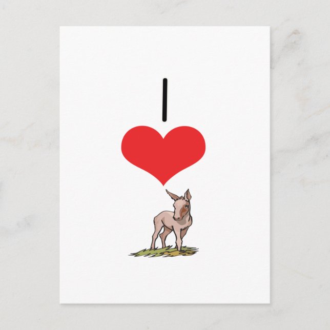 I Heart (Kärlek) Donkey Vykort (Framsida)