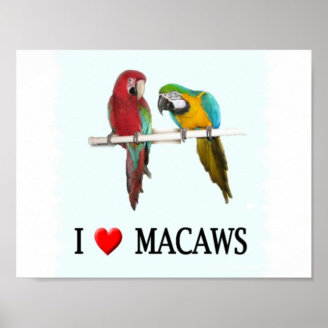 I "Heart Macaws Poster (Framsidan)