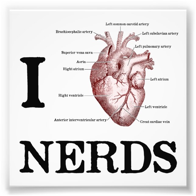I Heart Nerds Fototryck (Framsidan)