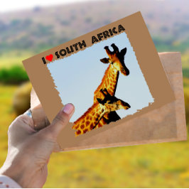 I Heart South Afrika Blå himmel Giraffes Vykort