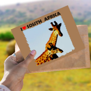 I Heart South Afrika Blå himmel Giraffes Vykort