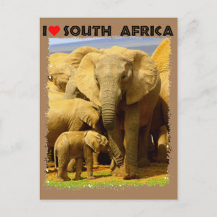 I Heart South Afrika elefant mor och kalv Vykort