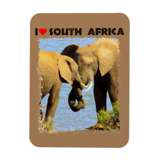 I Heart South Afrika elefanter i kärlek Magnet