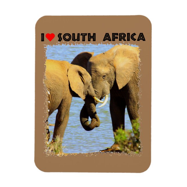 I Heart South Afrika elefanter i kärlek Magnet (Vertikal)