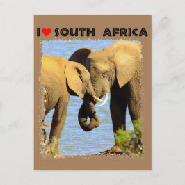 I Heart South Afrika elefanter i kärlek Vykort