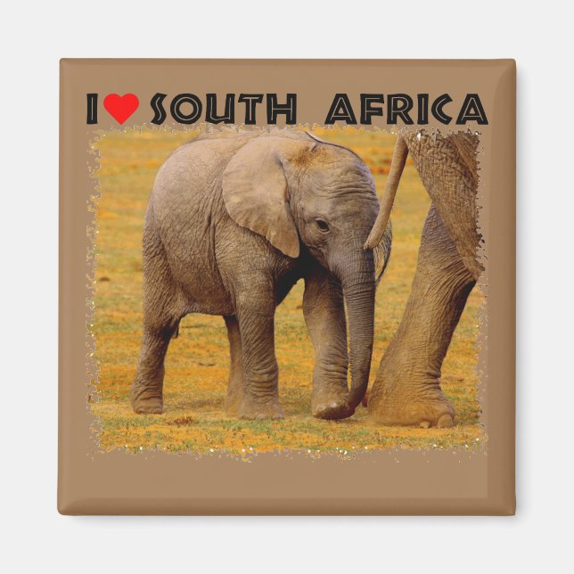 I Heart South Afrika Elephant calf Magnet (Framsidan)
