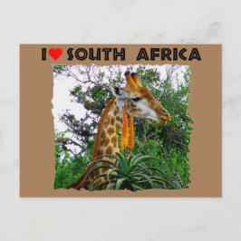 I Heart South Afrika giraffe aloe Vykort