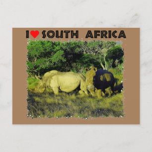 I Heart South Afrika Rhino Couple Vykort