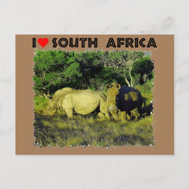 I Heart South Afrika Rhino Couple Vykort (Framsida)