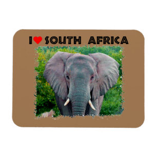 I Heart South Afrika, ungtjur elefant Magnet
