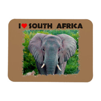 I Heart South Afrika, ungtjur elefant Magnet