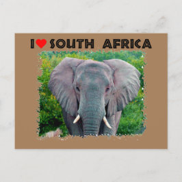 I Heart South Afrika, ungtjur elefant Vykort