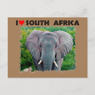 I Heart South Afrika, ungtjur elefant Vykort