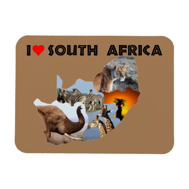 I Heart South Afrika vild land Magnet (Horisontell)