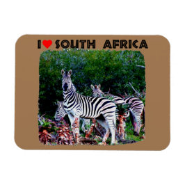 I Heart South Afrika Zebra Aloe Magnet