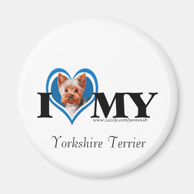 I Heart Yorkshire Terrier-Blue-Magnet Magnet (Framsidan)