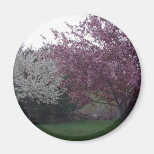 I heder av magneten Sally_053 Magnet